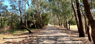 Virtual Gravel Route Great Australian Rail Trail, Mansfield to Yarck. CX Gravel Thumbnail