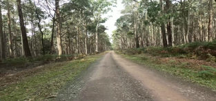 Virtual Gravel Route From Old Lyonsville track to Blackwood Thumbnail
