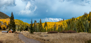 Virtual Gravel Route Schultz Pass Road | Arizona | USA Thumbnail