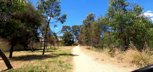 Virtual Gravel Route O'Keefe Rail Trail, Bendigo to Axedale, Australia, flattened route Thumbnail