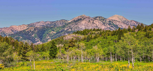 Virtual Gravel Route Soapstone Gravel | Utah | USA Thumbnail